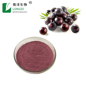 Acai Berry Powder Anthocyanin Dietary Fiber Vegetable Super Food Powder