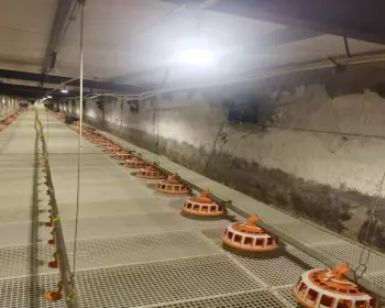 Chain feeding