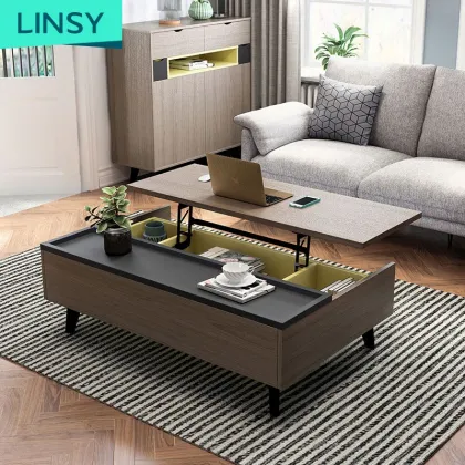 Linsy Nordic Multifunction Living Room Furniture