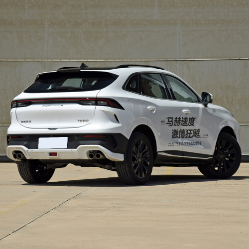 Dongfeng Turbo Suv T5 Evo