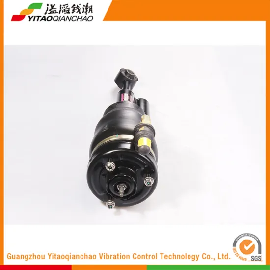 2016 International Standard Manufacturer Safety Absorber