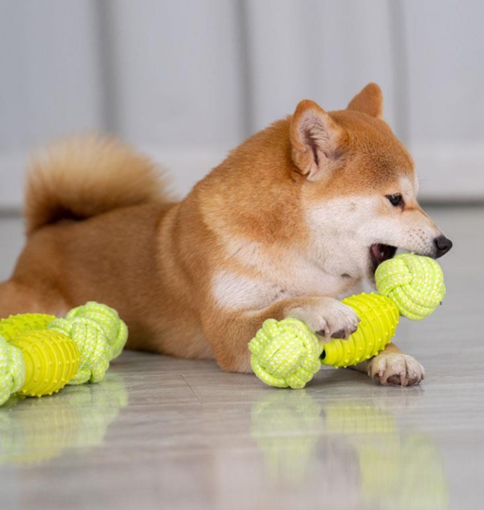 Rope Tug Toys for dogs