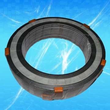 with metal 304 316 graphite gasket