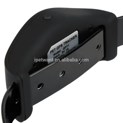2016 new gms gps tracker pet collar with pet training collar