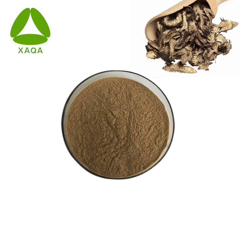 Натуральный Dong Quai Black Cohosh Extract Powder 10: 1