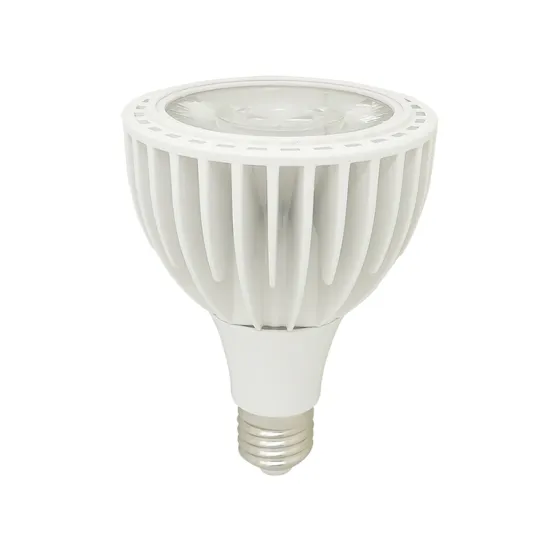 25W Aluminum Housing High CRI 90 PAR30 LED Spot Light Fixture with 220V Input Voltage