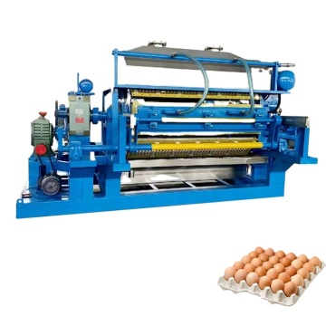 Eco Friendly Disposable Paper Plate and Pulp Fruit Tray Molding Machine