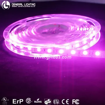 DC12V 60LED/M Colorful Party Light String