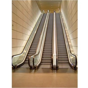 FUJI China Electric Escalators for Outdoor Use - Cost and Solutions