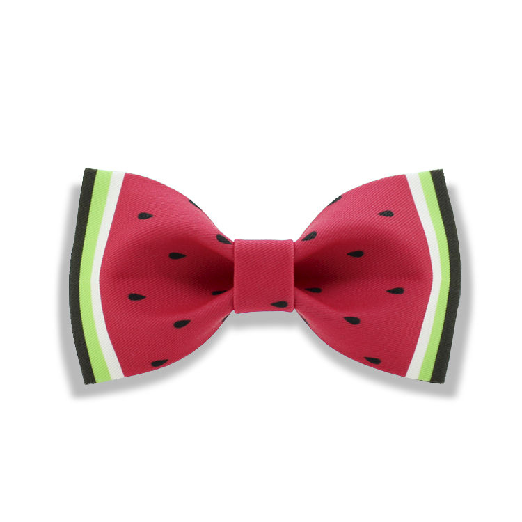 fruit bowtie necktie