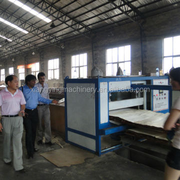 Semi-Auto Plywood Manufacturing Plant