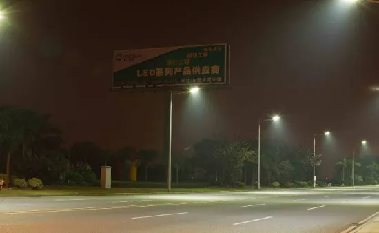 LED street light project at Dongguan Dongjiang