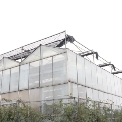 Fully Automatic Smart Greenhouse: MYXL Commercial Agriculture Glass Greenhouse