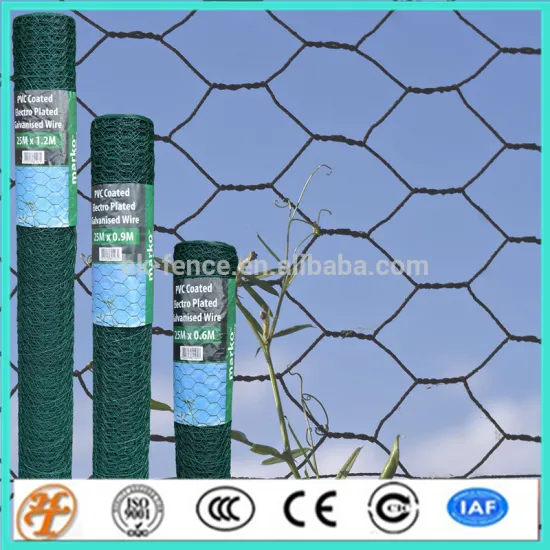 factory supply first class pvc coated chicken wire netting