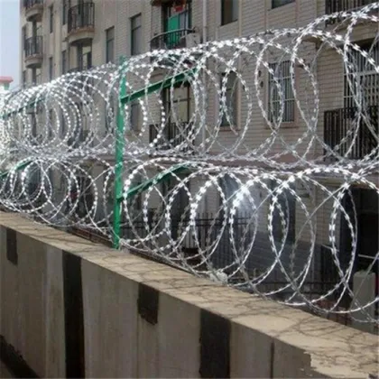 Hot dipped galvanized double twist razor wire roll