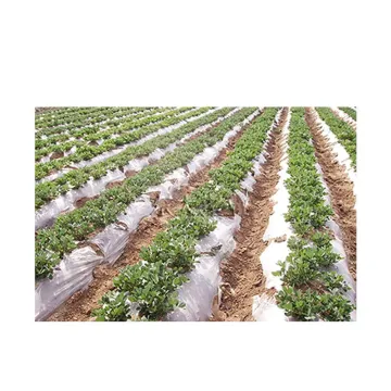 30mic Silver Black Plastic Mulch Film