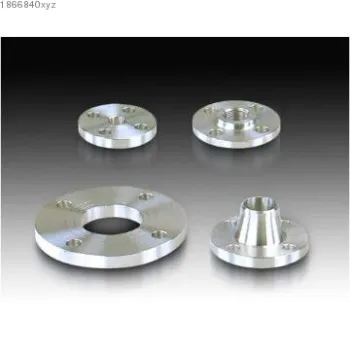 Stainless Steel Flanges