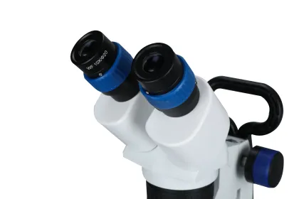 10X Binocular Stereo Microscope Optical Stereo Microscope