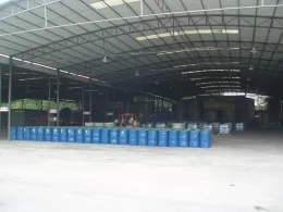 epoxidized soybean oil