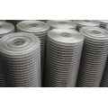 Galvanized Welded Wire Mesh Rolls