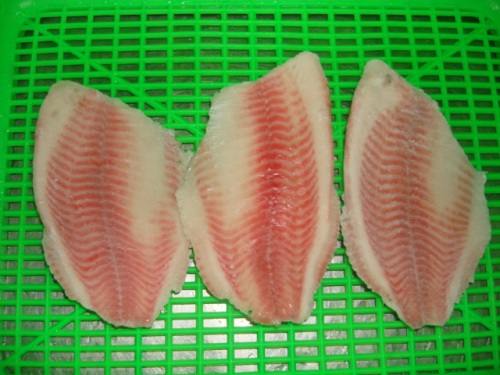 Frozen Black Tilapia Filet 5-7 unz do eksportu