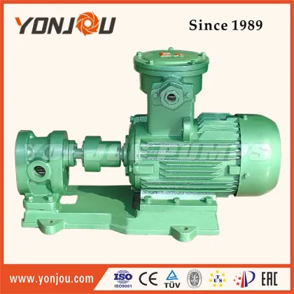 Yonjou Stainless Steel Oil Transfer Pump