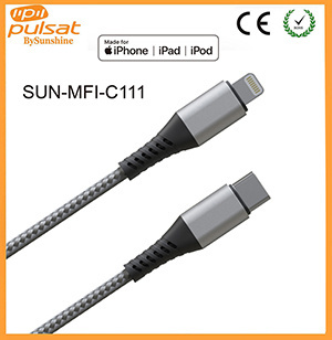 Mfi Factory Type-C to Lightning Cable for iPhone
