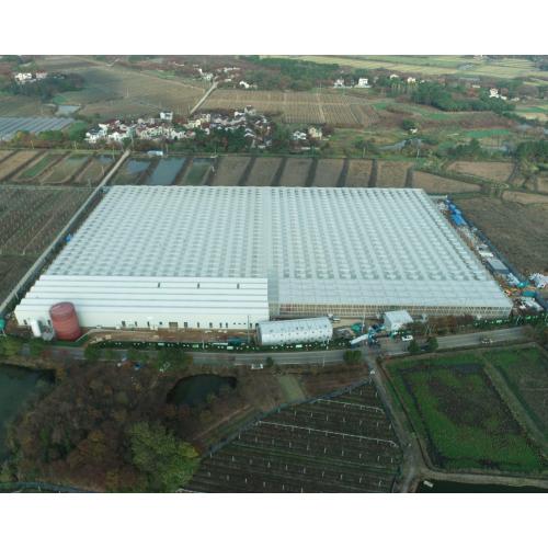 Glass And Sandwich Panel Greenhouse Structure