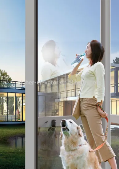 Easy Install Passenger Elevator , Home Electric Lift Electrical Elevator One more procedure