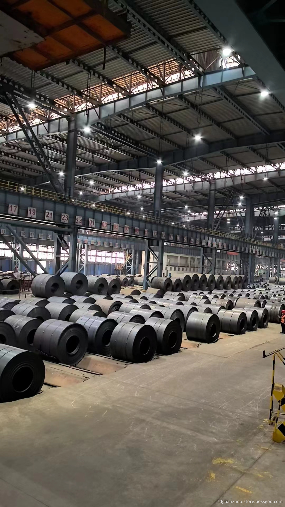 Carbon Steel Coil