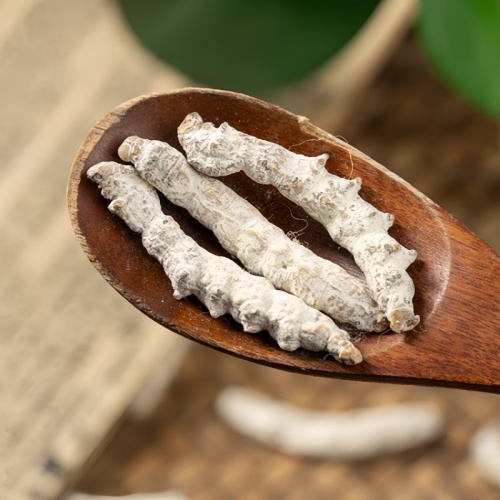 Bombyx Batryticatus for Liver Calming and Wind Control