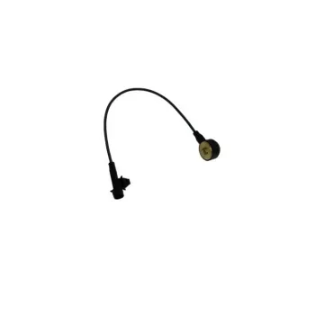 OEM Knock Sensor S1008L21153-00016 for Passenger Car
