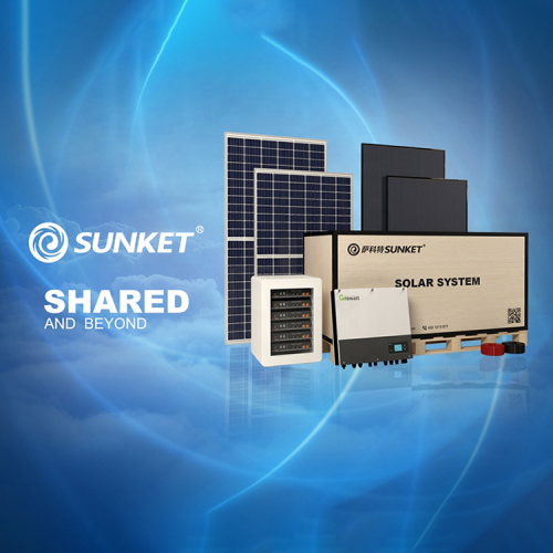 Hybrid Inverter 3KW Lithium Mppt Solar Storage System