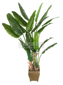 shenlin 2017 unique fake banana tree for indoor or outdoor for indoor design