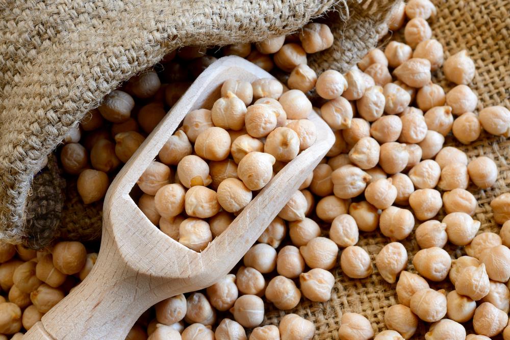 Chickpea Protein 11