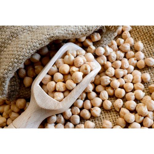 Chickpea Protein Powder 80% Isolate Chickpea Protein