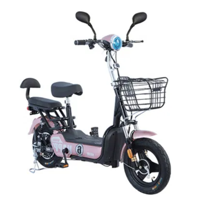 2-Seat 350W Electric Utility Vehicle: Scooter Bicycle for Uomo