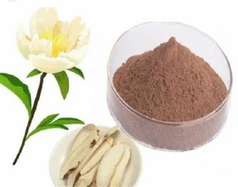 Paeonia Lactiflora Extract Powder for Natural Health
