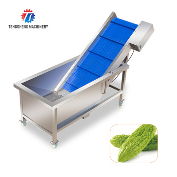 TS-T30 Stainless Steel Automatic Vegetable and Fruit Elevator - Customized Food Processing Machine