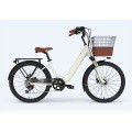 Customized Lady Ebikes For Sale