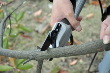 Orchard electric scissors with Li-battery