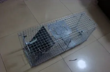 welded wire mesh mouse cages