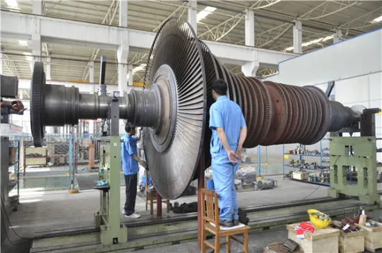 Profession 20MW Steam Turbine Care