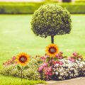 Outdoor Garden Decor Shaking Head Sunflowers