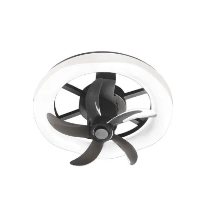 Low Profile Ceiling Fan with Integrated Light