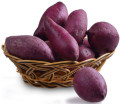 Polvere di patate dolci viola per additivi alimentari