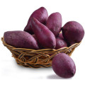 Purple de camote para aditivos alimentarios