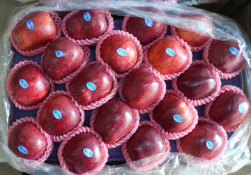 red delicious Huaniu apple for sale