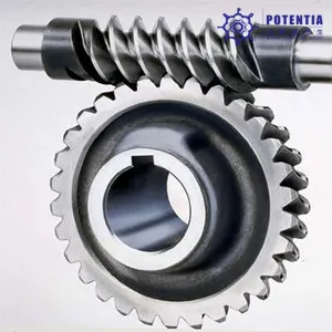 Customized Worm Gear supplier
