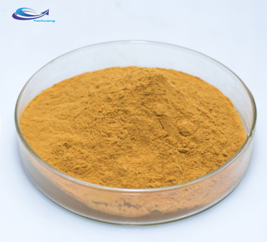 Fast shipped mint leaf extract powder/mint extract powder